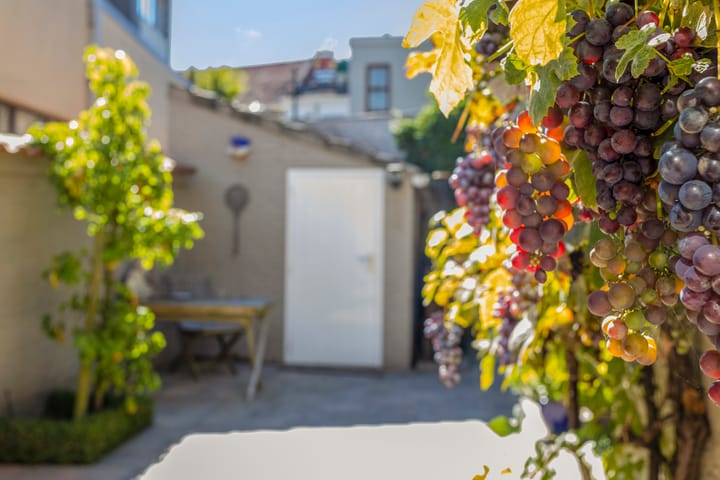 Foto 3 van de Jongestraat 2