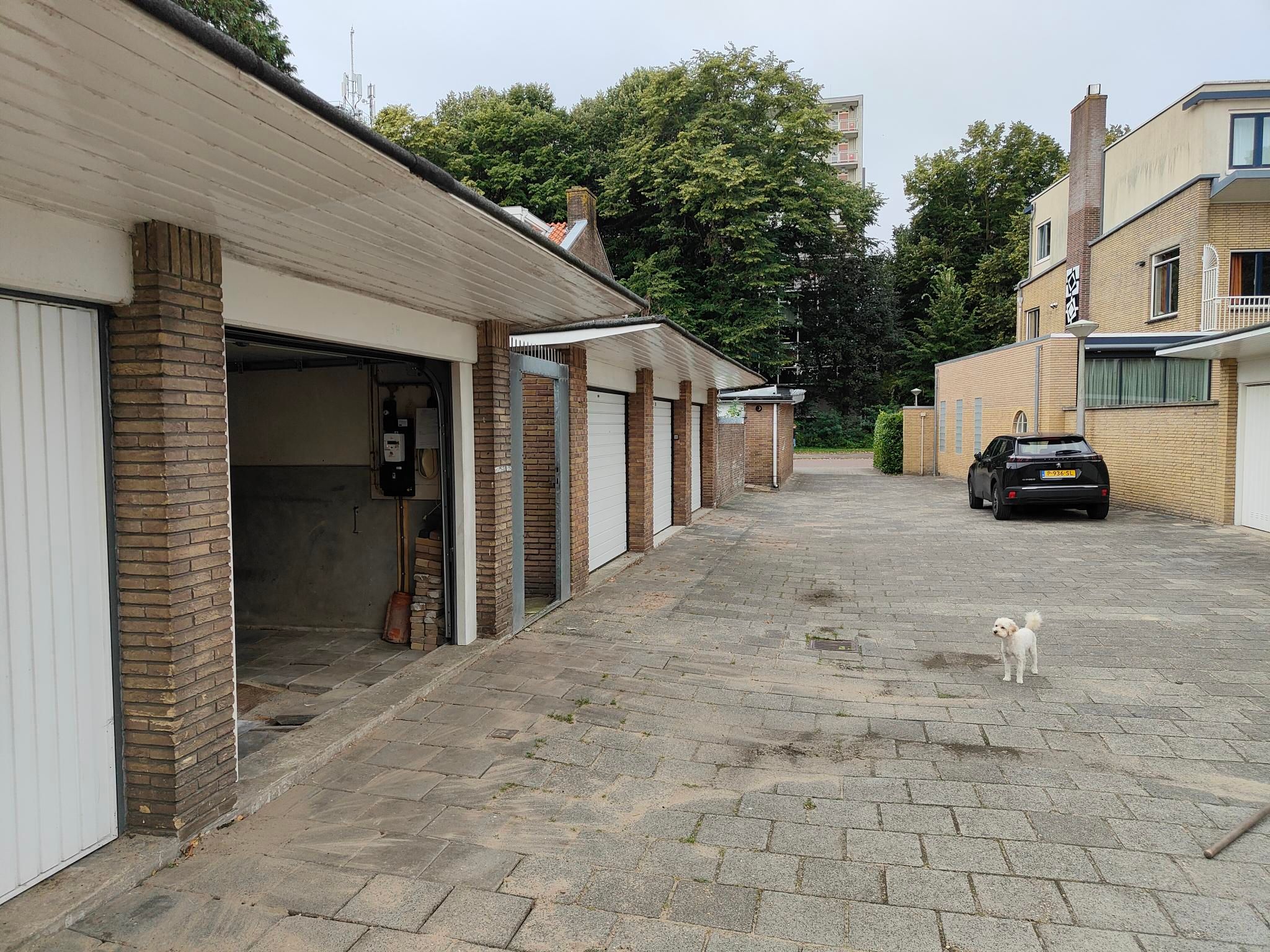 Foto 3 van Parkeerbox Willem Pijperstraat 5