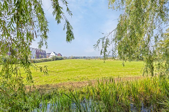 Bekijk foto 38 van Rijksstraatweg 165