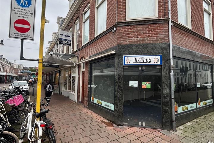 Generaal Cronjéstraat 17-ZW, Haarlem