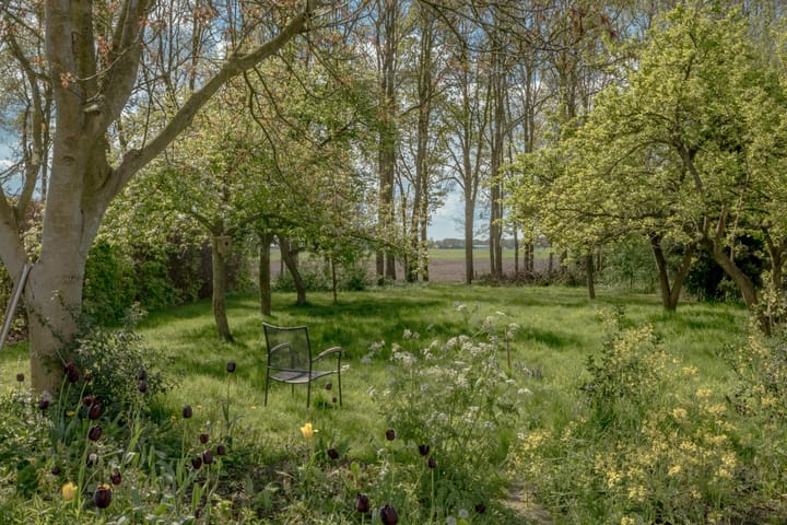 Foto 9 van Eemster 85