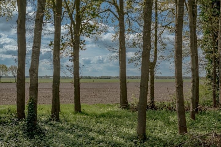 Foto 11 van Eemster 85