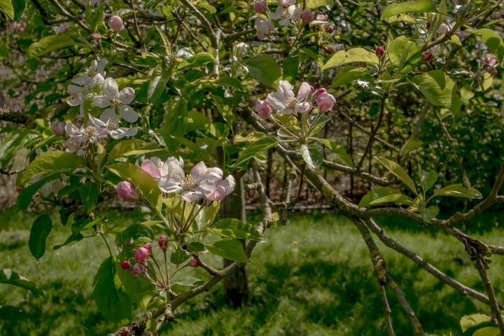 Foto 15 van Eemster 85