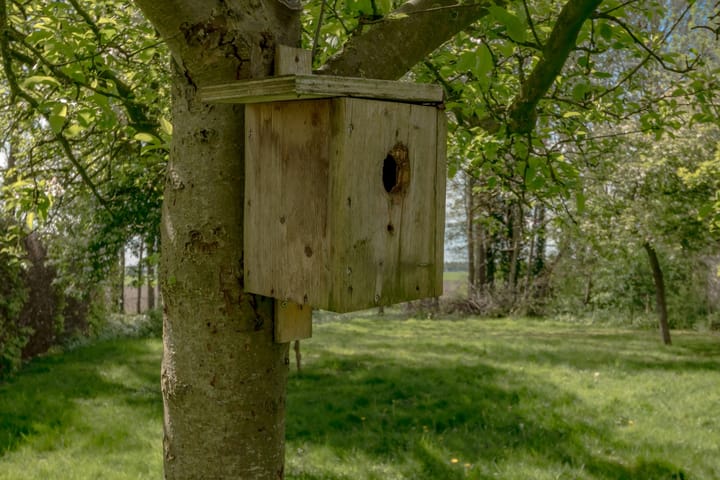 Foto 16 van Eemster 85