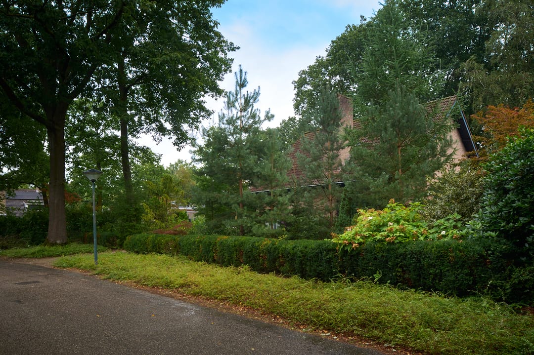 Foto 37 van Sporkehout 67