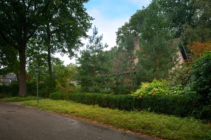 Photo 37 of Sporkehout 67