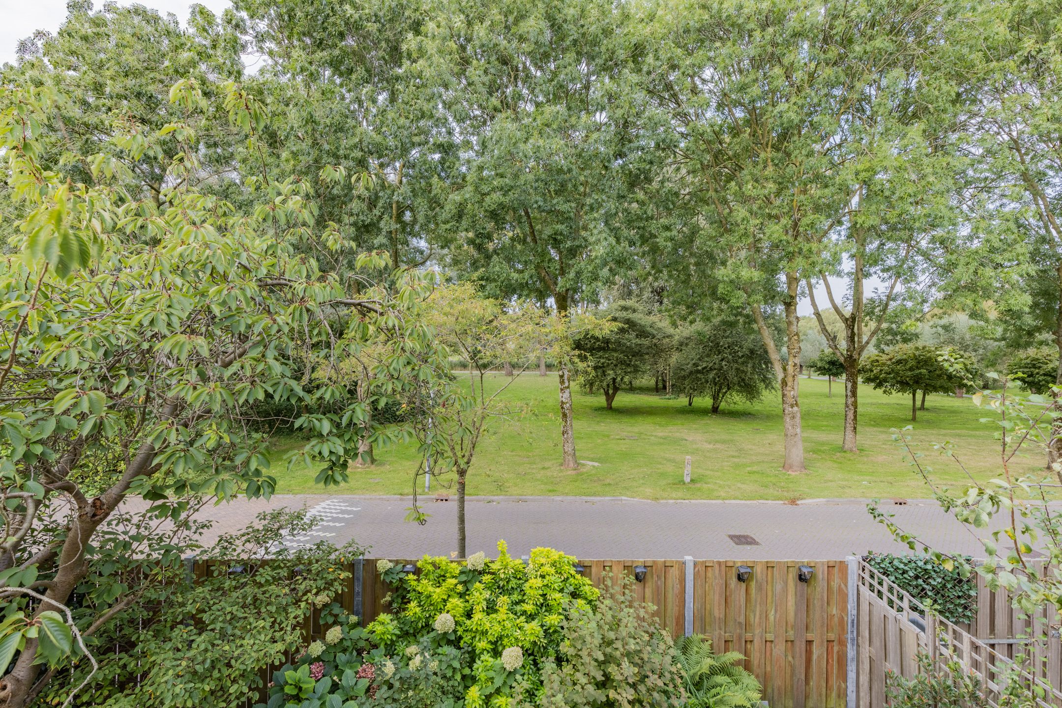 Foto 36 van Dodonaeuslaan 302