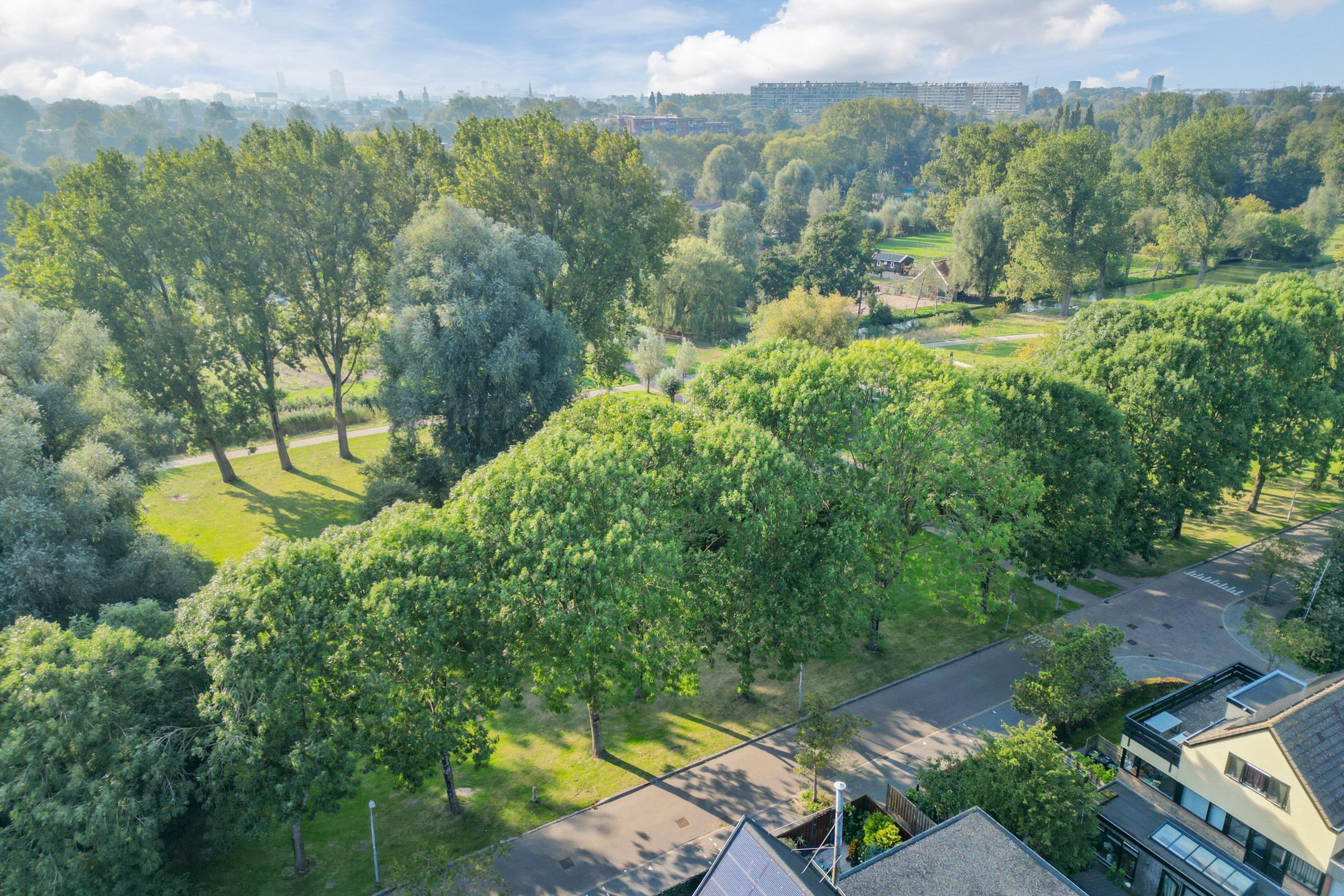 Foto 54 van Dodonaeuslaan 302