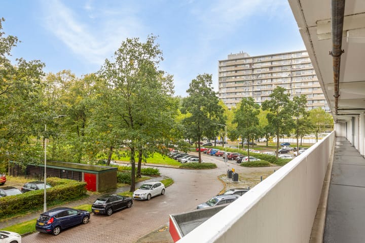 Foto 7 van Tjaarda 2