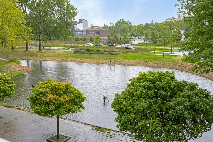 Foto 18 van Tjaarda 2