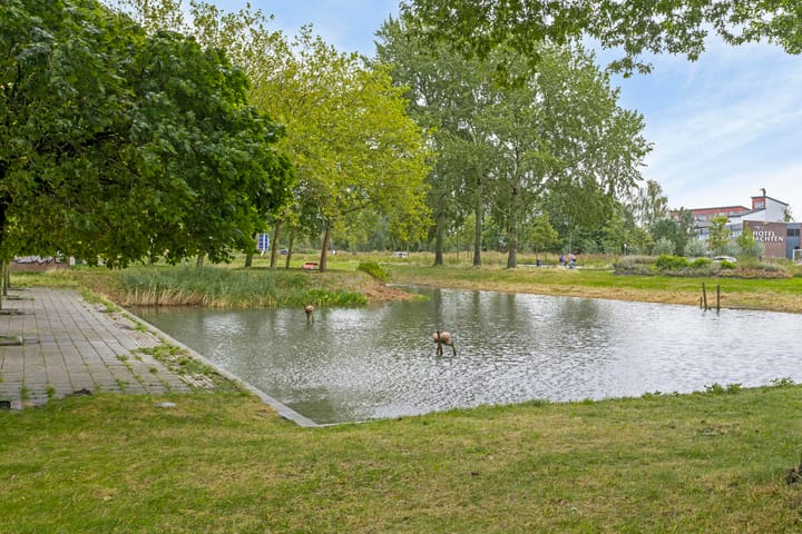 Foto 19 van Tjaarda 2