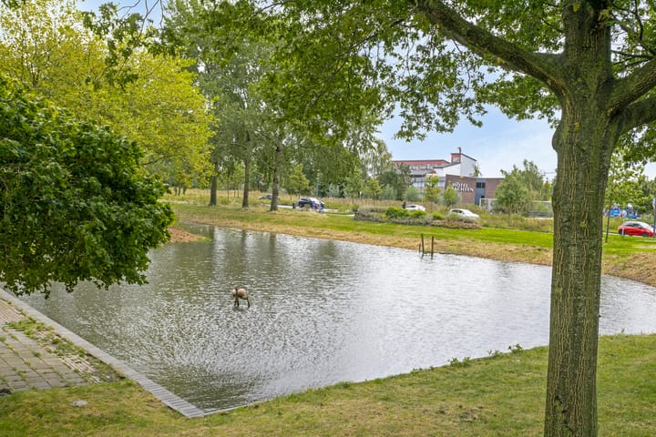 Foto 20 van Tjaarda 2