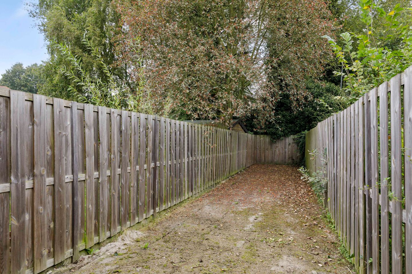 Foto 25 van Graafseweg 244