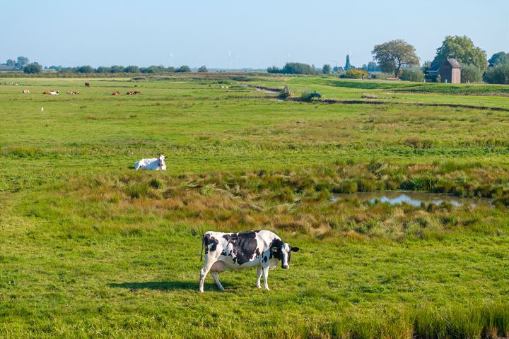 Bekijk foto 41 van Eemdijk 134