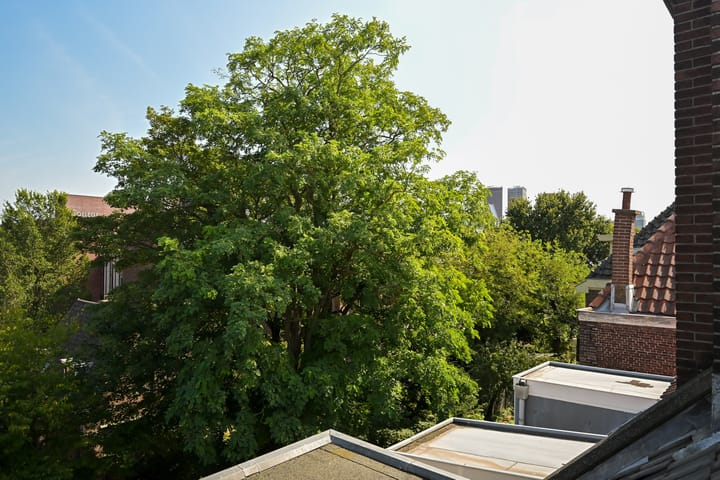 Foto 44 van Willemstraat 65