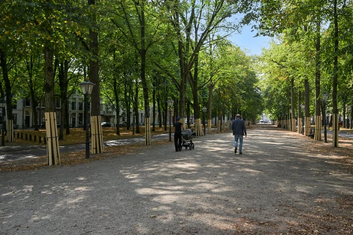 Foto 46 van Willemstraat 65