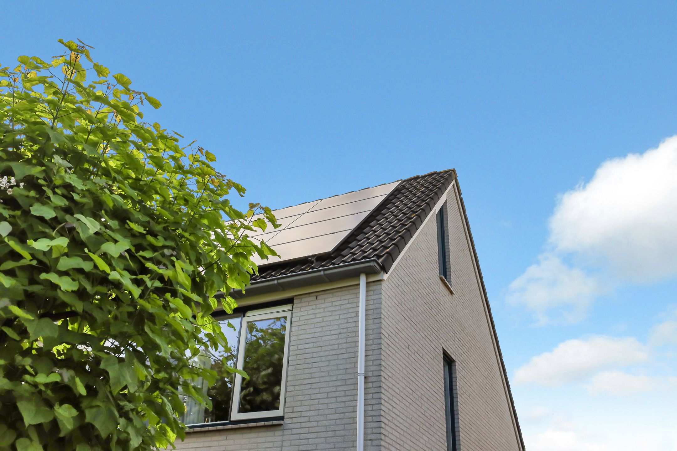 Foto 3 van Barnsteen 52