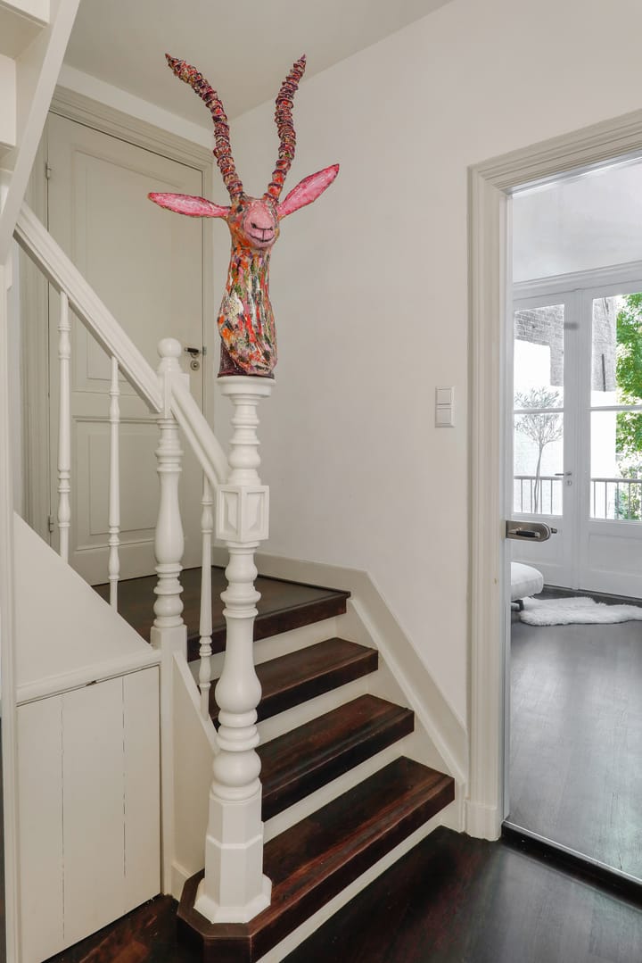 Foto 11 van Jan Heinsstraat 34