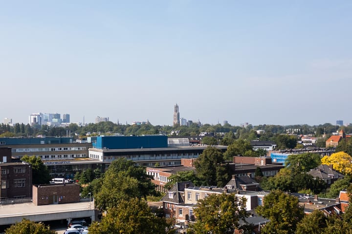 Foto 29 van Pieter de Hooghstraat 43