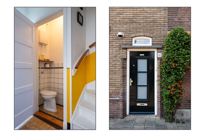 Foto 36 van Pieter de Hooghstraat 43