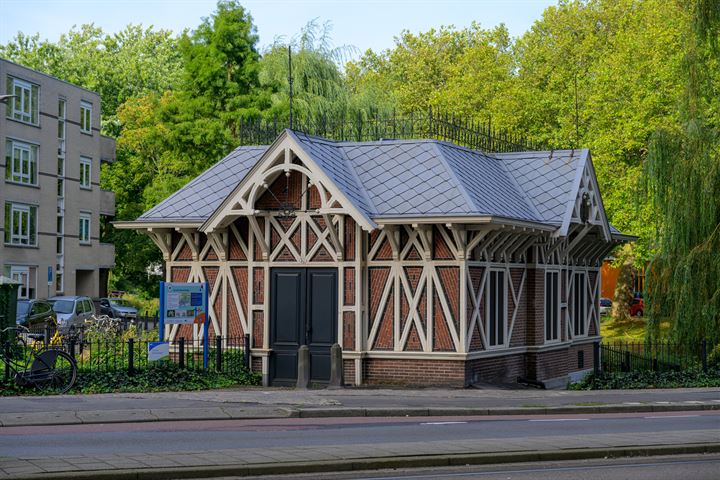 Bekijk foto 31 van Boezemsingel 115