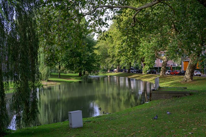 Bekijk foto 32 van Boezemsingel 115