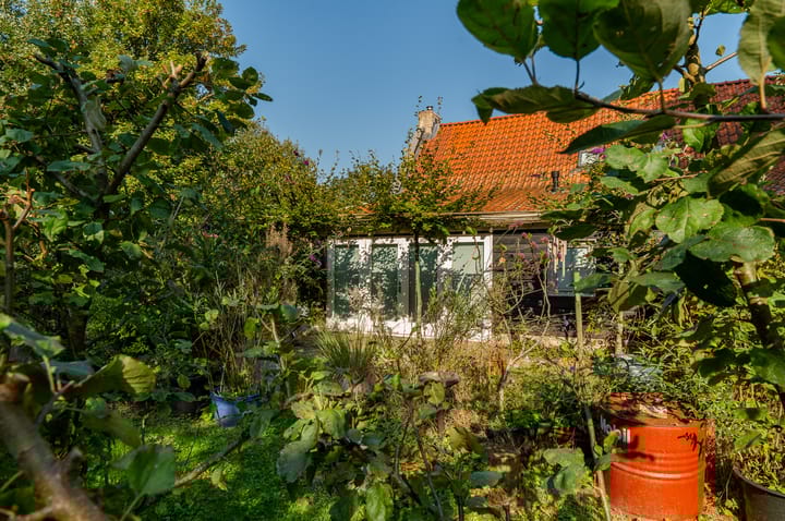 Foto 54 van Bosdijk 2