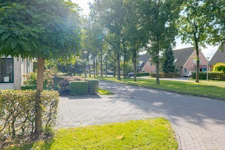 Foto 2 van Hamerbijl 20