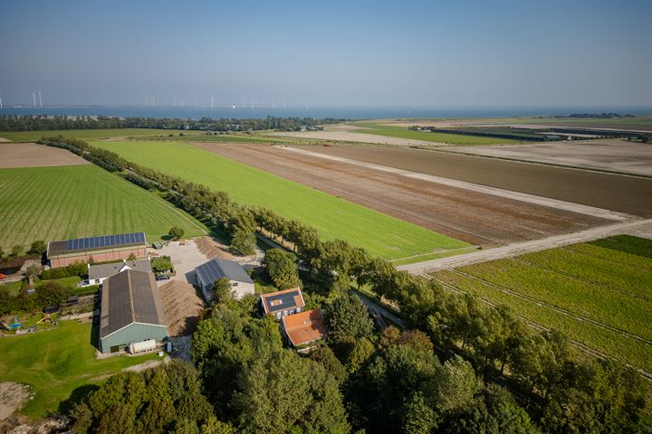 View photo 3 of Bosdijk 2-A