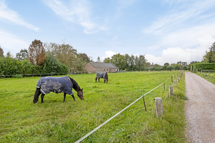 Bekijk foto 40 van Laakweg 116