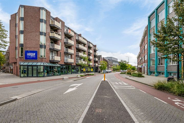 Bekijk foto 30 van Methusalemplein 18