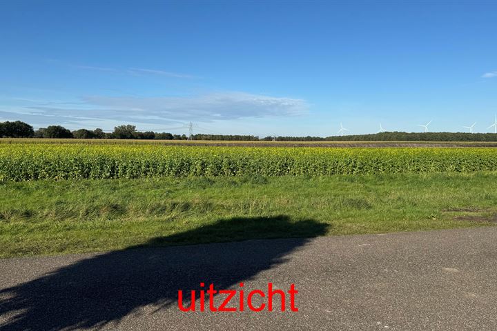 Bekijk foto 4 van Wethouder L. Veemanweg 5