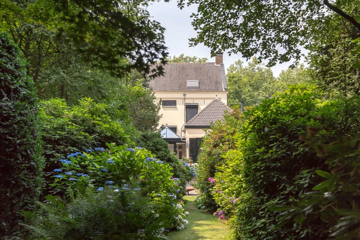 Foto 2 van Plantagebaan 221