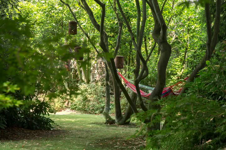 Foto 52 van Plantagebaan 221