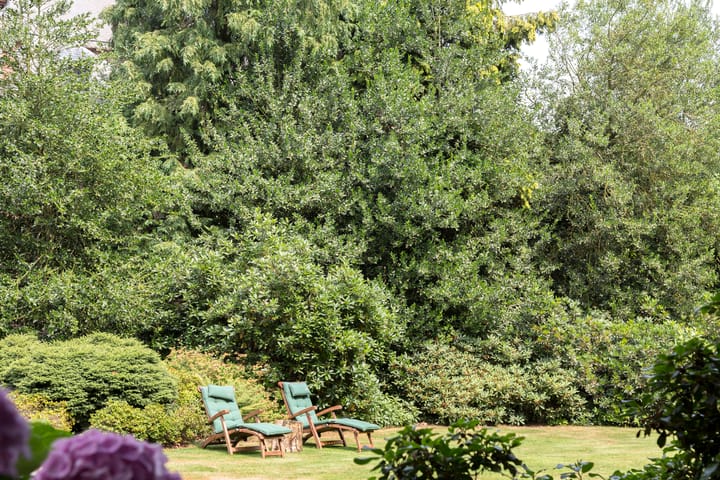 Foto 59 van Plantagebaan 221