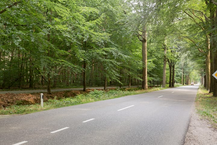 Foto 60 van Plantagebaan 221