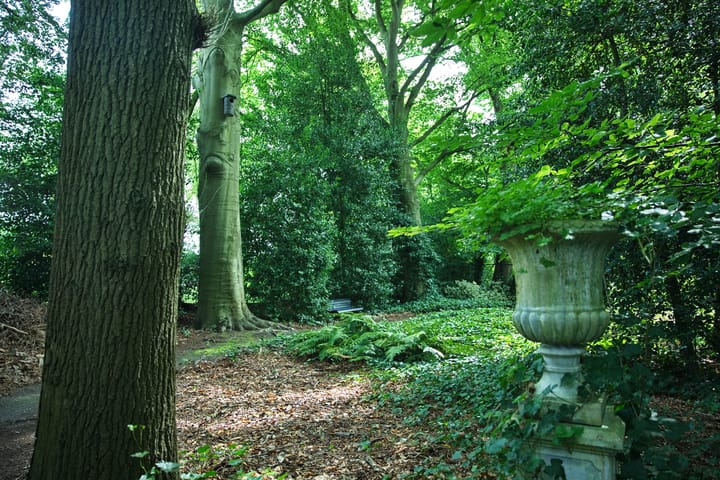 Foto 64 van Plantagebaan 221