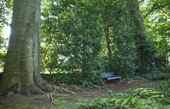 Foto 66 van Plantagebaan 221