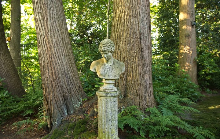 Foto 67 van Plantagebaan 221