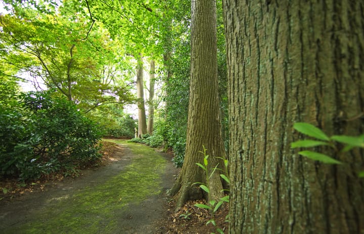 Foto 68 van Plantagebaan 221