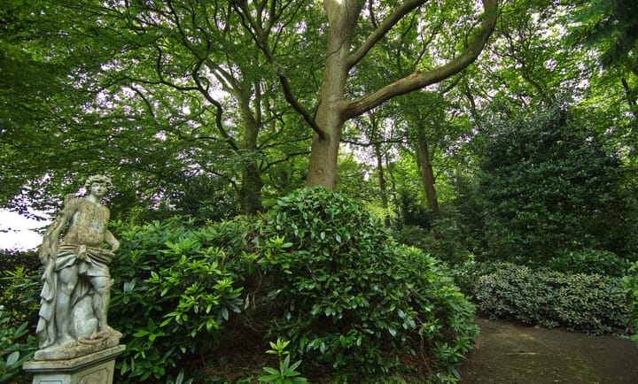 Foto 69 van Plantagebaan 221