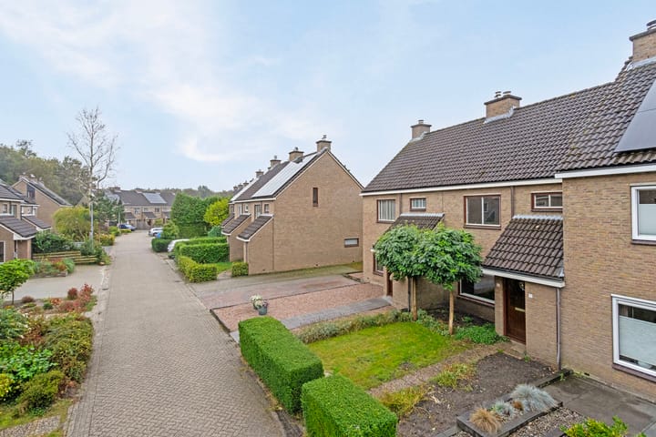 Foto 31 van De Kubbing 19