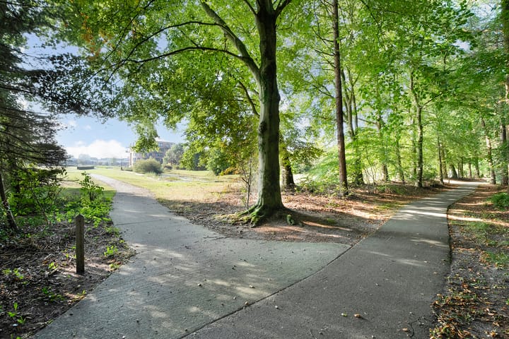 Foto 44 van Jan Tooropstraat 47