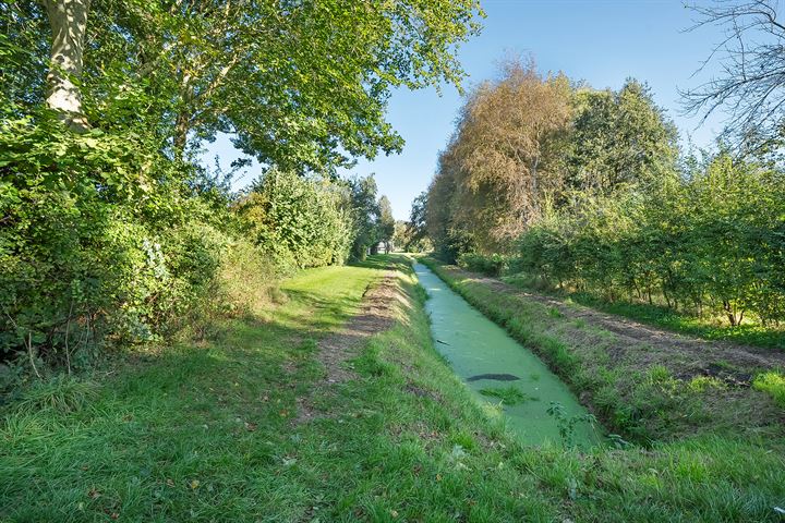 Bekijk foto 30 van Langewijk 166