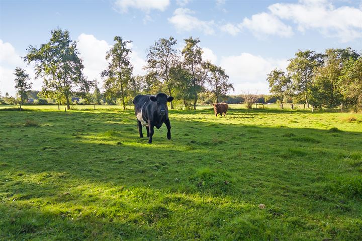 Bekijk foto 47 van Langewijk 166