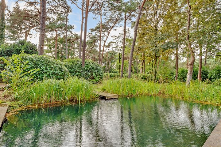 Bekijk foto 12 van Biltseweg 17