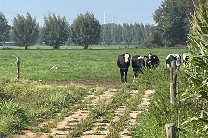 Bekijk foto 28 van Hoonhorstweg 2