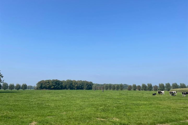 Bekijk foto 32 van Hoonhorstweg 2