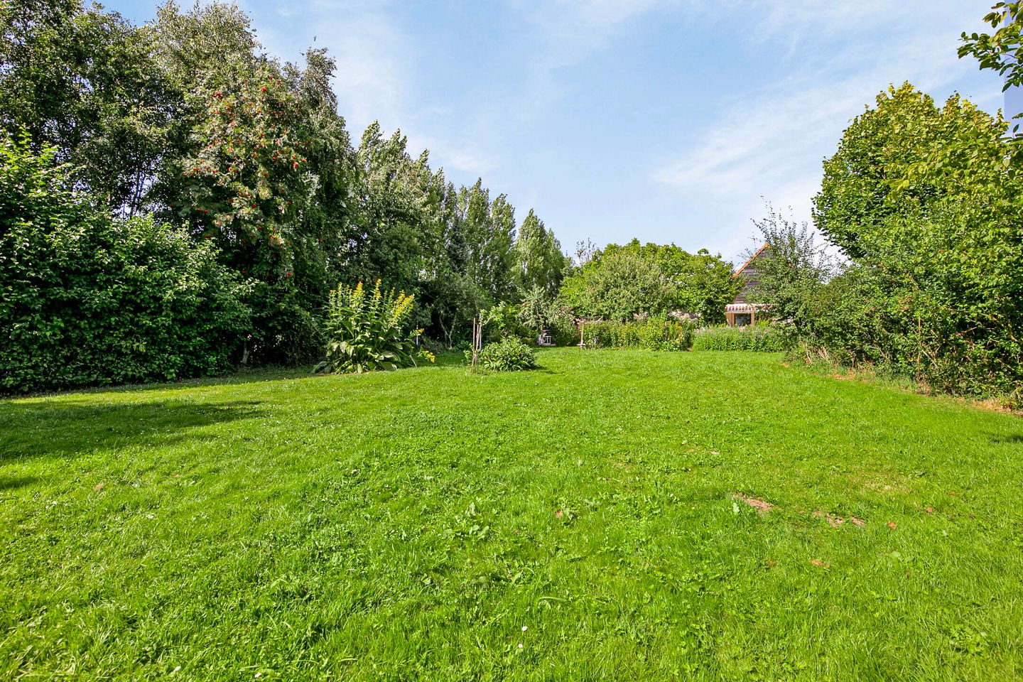 Foto 20 van Noordweg 52