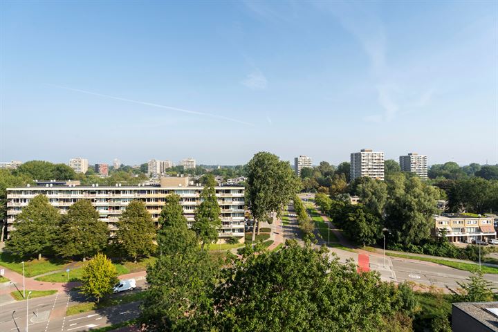 Bekijk foto 37 van Stadhoudersring 754